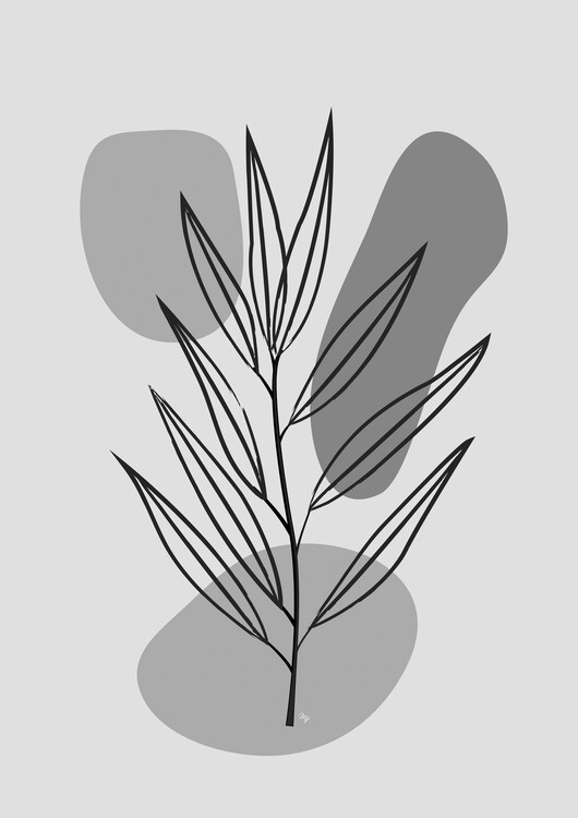 Illustration Grey Plant