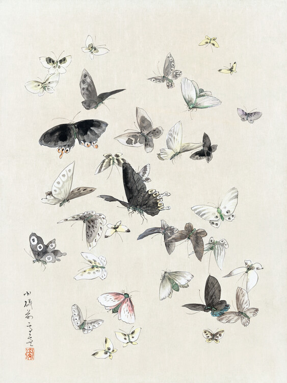 Taidejäljennös Butterflies & Moths (1 of 2) - Katsushika Hokusai