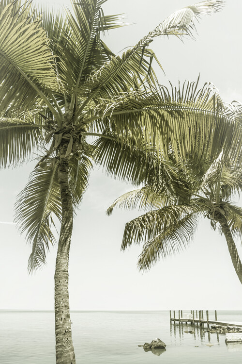 Art Photography Relaxing vintage seascape