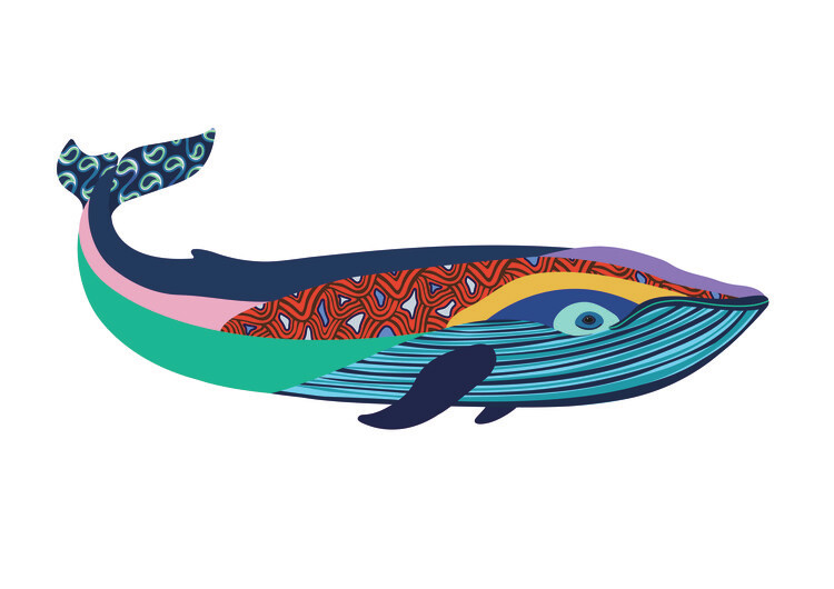 Ilustrácia Blue whale