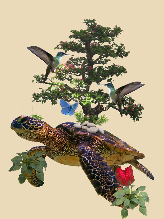 Illustration surreal turtle