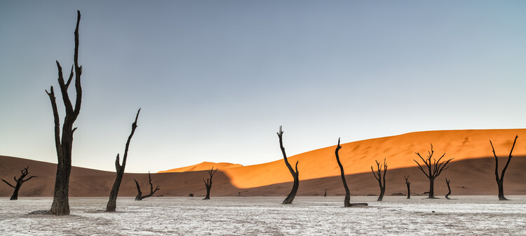 Kunstfotografie Namibian desert