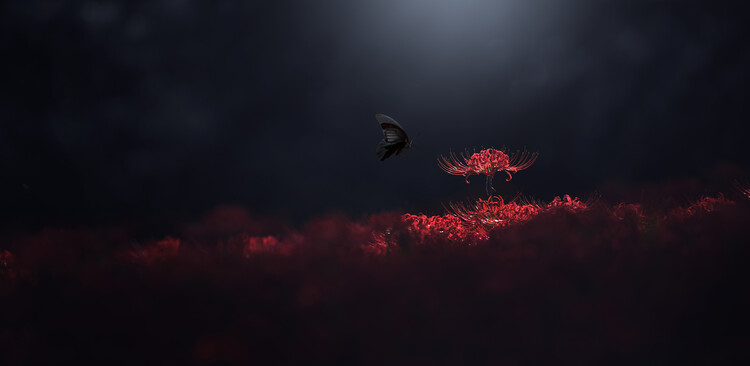 Kunstfotografie Raven black and red