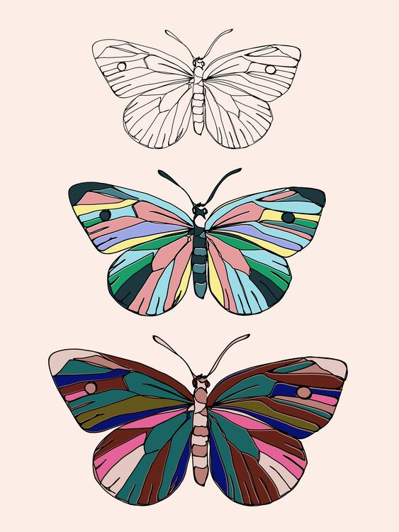 Ilustrácia Butterflies