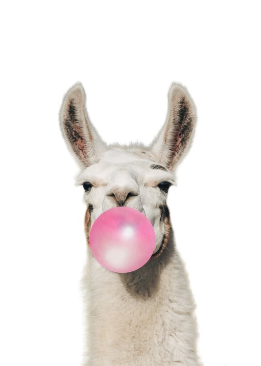 Valokuvataide Lama with Bubblegum