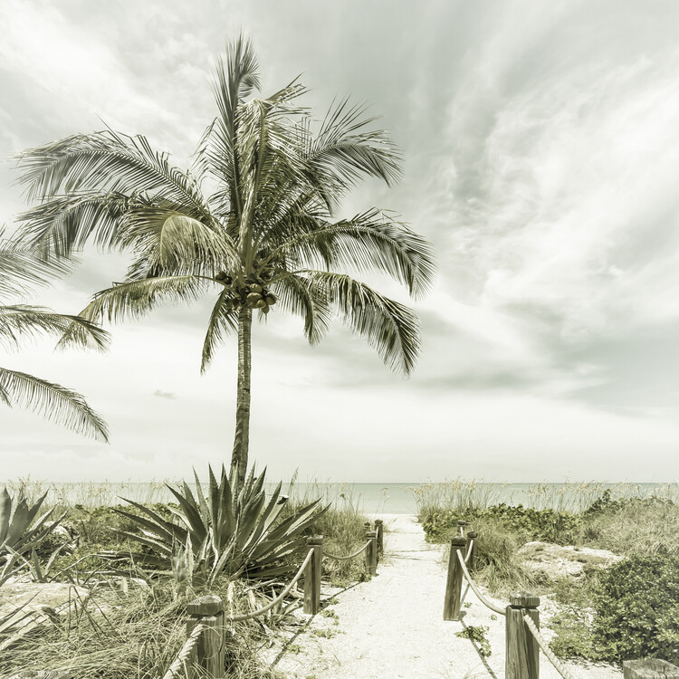 Art Photography Path to the beach - Vintage - square