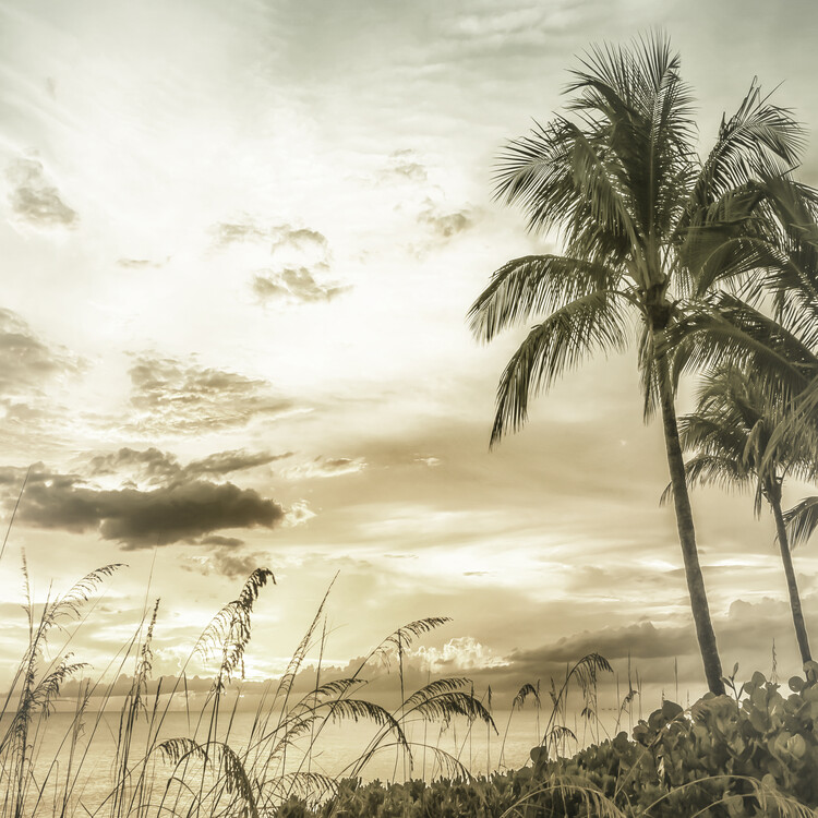 Art Photography BONITA BEACH Bright Vintage Sunset - square