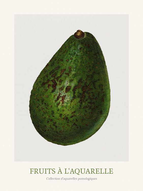 Taidejäljennös Avocado (Watercolour Kitchen Fruit)