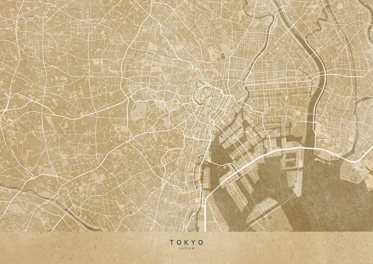 Karta Map of Tokyo (Japan) in sepia vintage style
