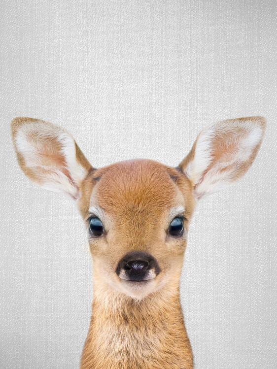 Canvas Print Baby Deer