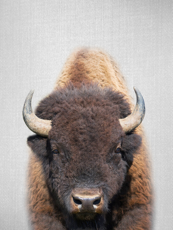 Arte Fotográfica Buffalo