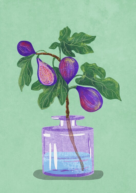 Illustration Figs Branch In Vase