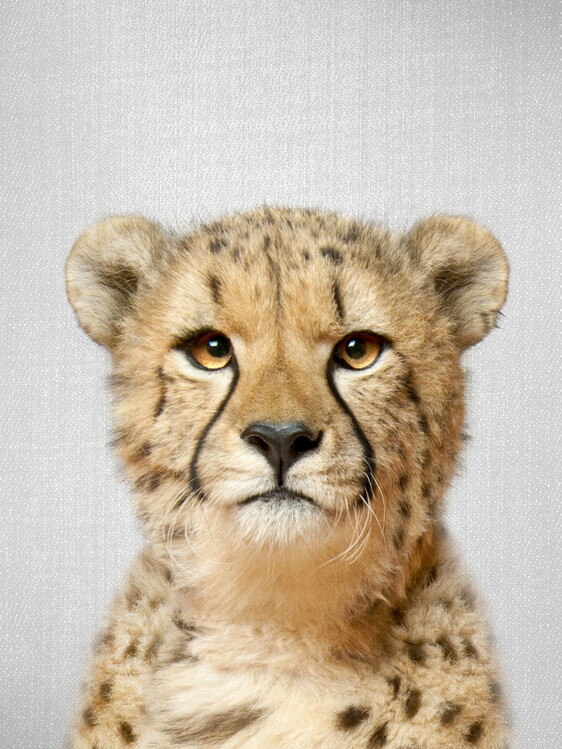 Art Photography Cheetah