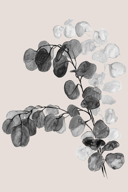 Canvas Print Watercolor silver dollar eucalyptus in grey