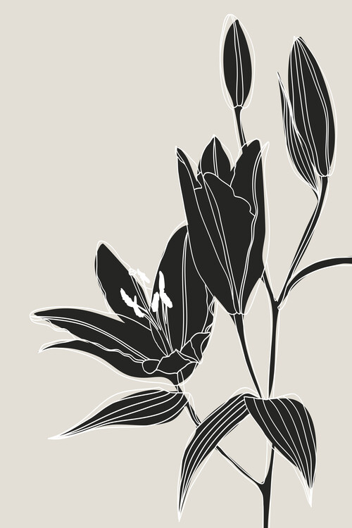 Ilustração Line art lilies in black