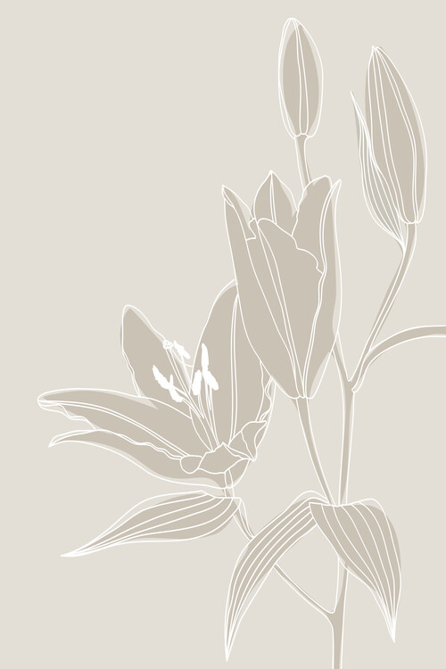Illusztráció Line art lilies in white