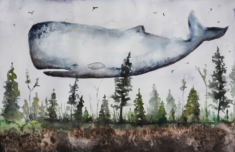 Illustration Sperm Whale In Woods