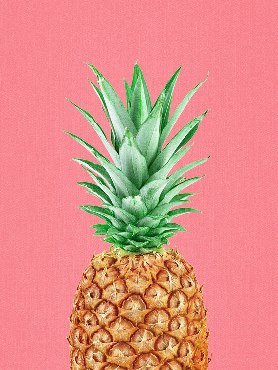 Illustration Pineapple in Pink