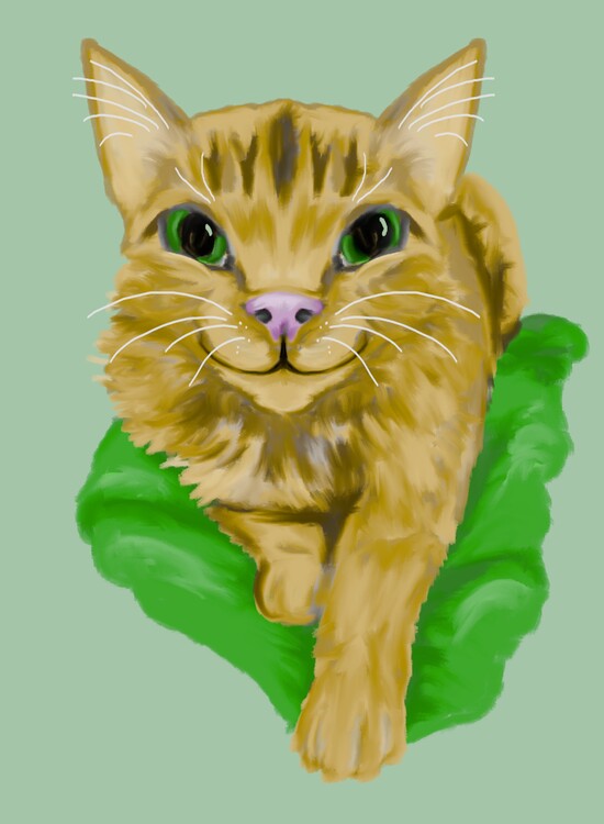 Illustration Cute, smiling kitten