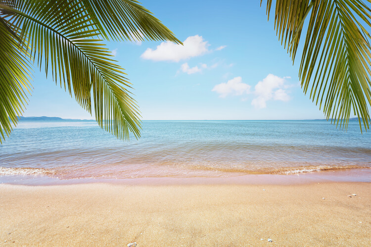 Художествена фотография Tropical Vibes