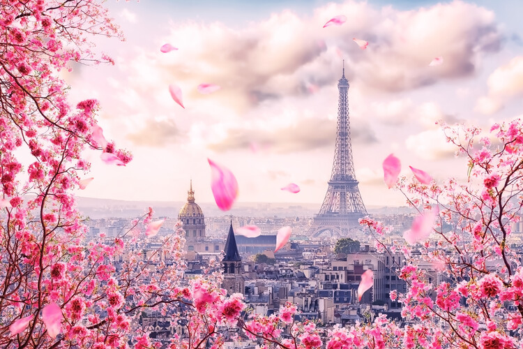 Fotografia artistica Romantic Paris