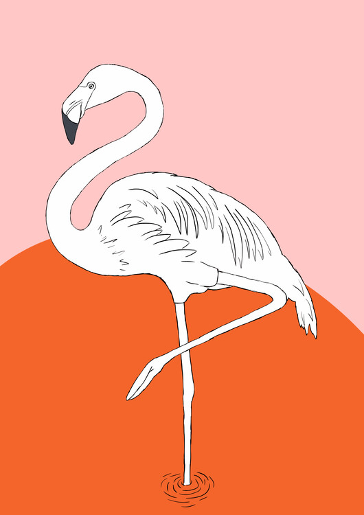Ilustrace Retro Flamingo