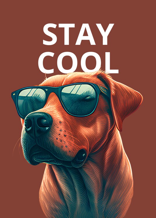 Stay Cool Poster