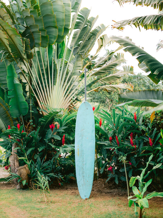 Valokuvataide Blue Surfboard