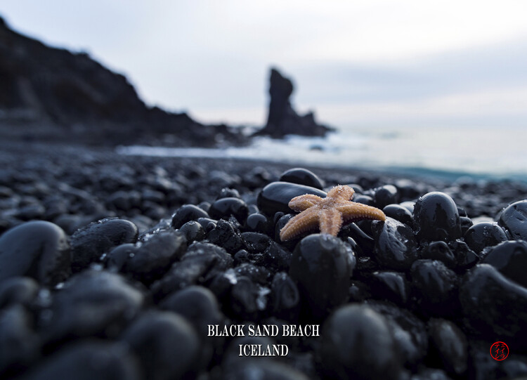 Obraz na plátně Black sand beach Iceland
