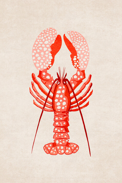 Illustration Emel Tunaboylu - Lobster