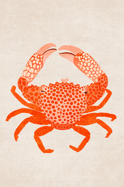 Illustration Emel Tunaboylu - Crab