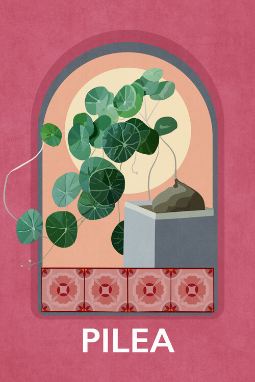Illustration Emel Tunaboylu - Pilea