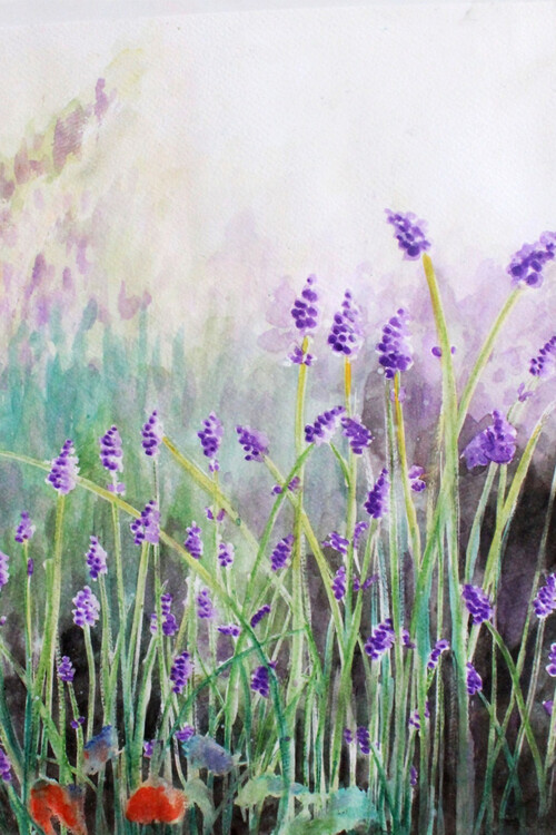 Ilustrare Lavender violet meadow