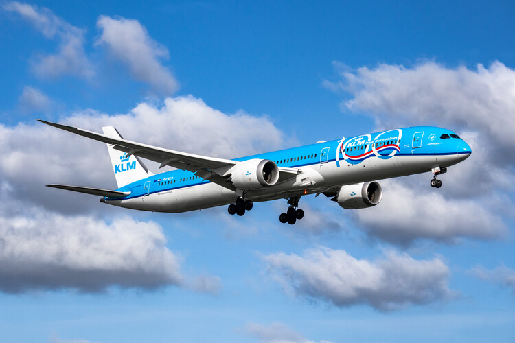 Art Photography Boeing 787 landing