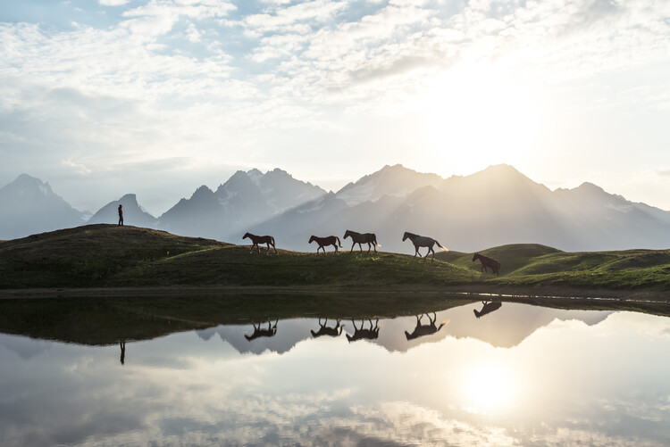 Fotografie Horses, Witold Ziomek, (40 x 26.7 cm)