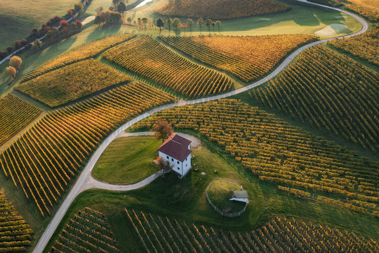 Fotografia artistica Golden Hill