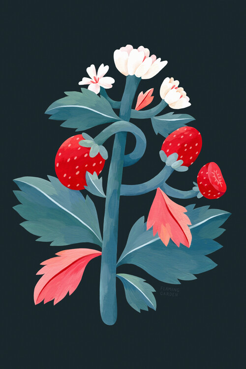 Illustration Flaming Garden - Strawberry