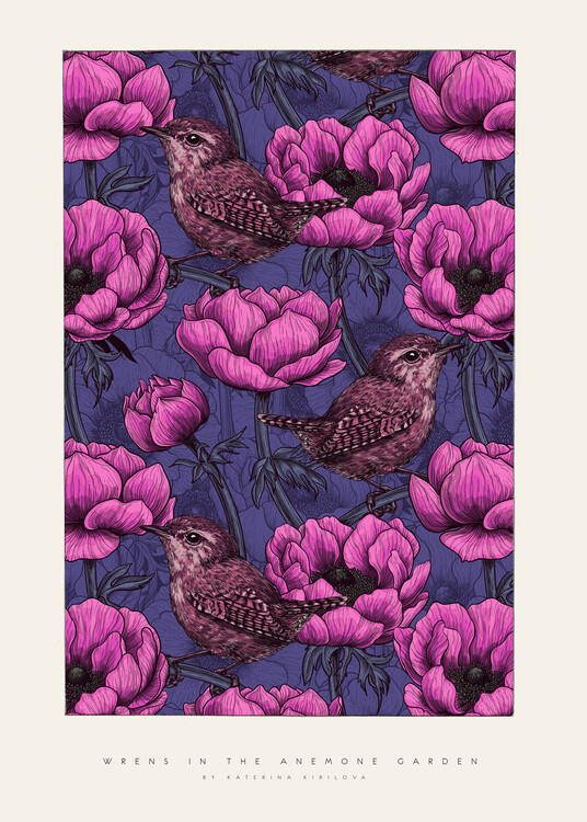 Illustration Katerina Kirilova - Wrens in the Anemone Garden