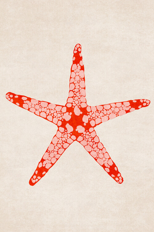 Illustration Emel Tunaboylu - starfish