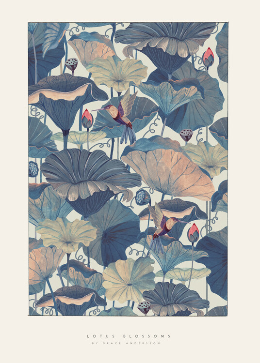 Ilustrácia Grace Andersson - Lotus Blossoms