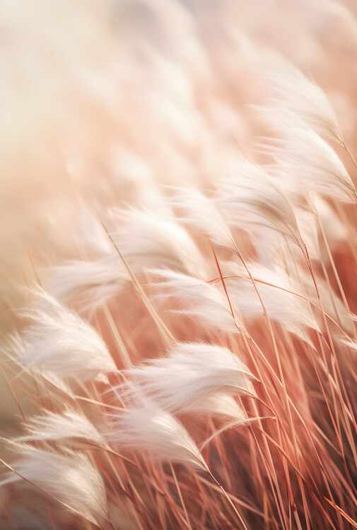 Art Photography Summer Wind