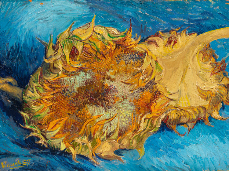 Vincent van Gogh Posters & Wall Art Prints