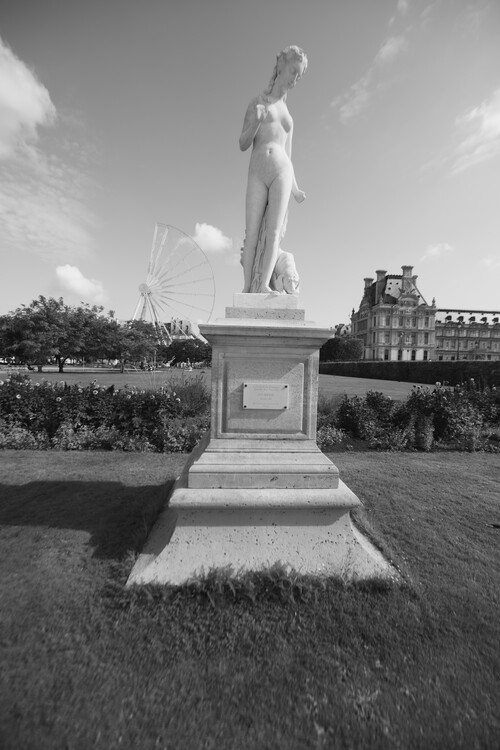 Art Photography Tuileries Paris Statues