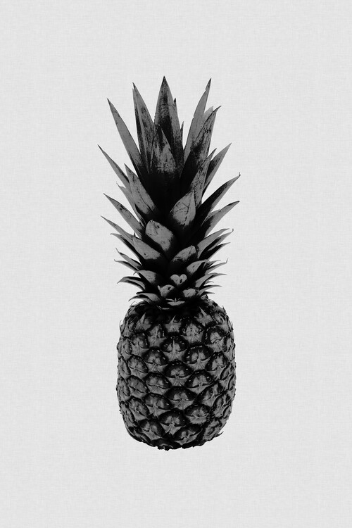 Umelecká fotografie Pineapple Black & White