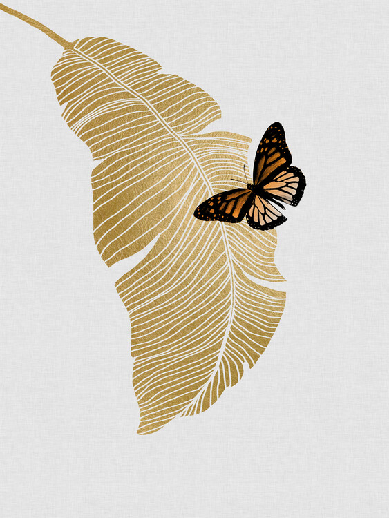 Ilustrácia Butterfly & Palm Leaf