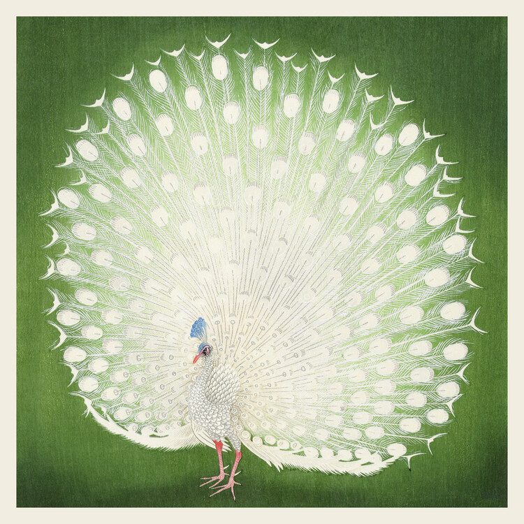 Ilustratie The White Peacock (Emerald Green Glamour) - Ohara Koson