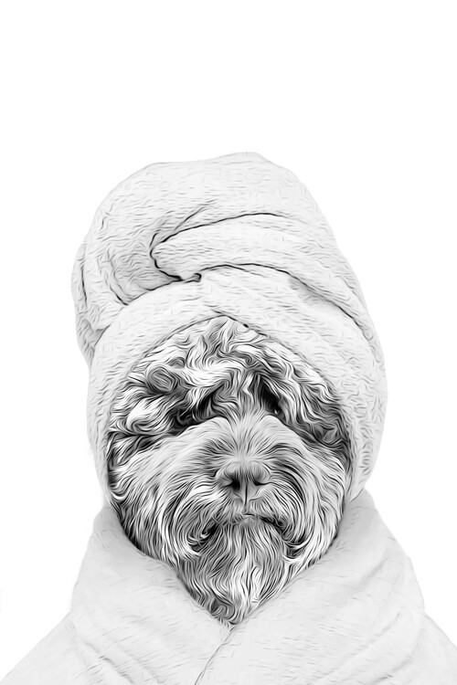 Ilustrace labradoodle with bathrobe and towel, funny bathroom art