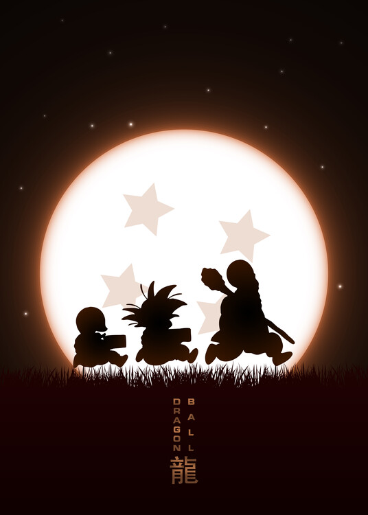 Art Poster Dragon Ball - Daily training