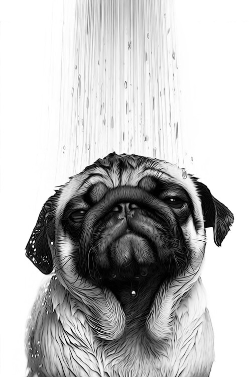 Ilustração funny pug dog taking a shower