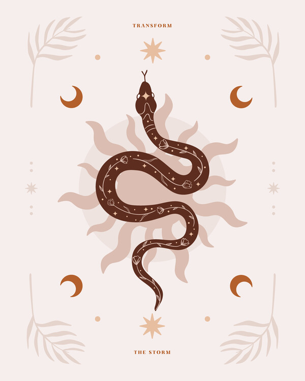 Snakes Posters & Wall Art Prints